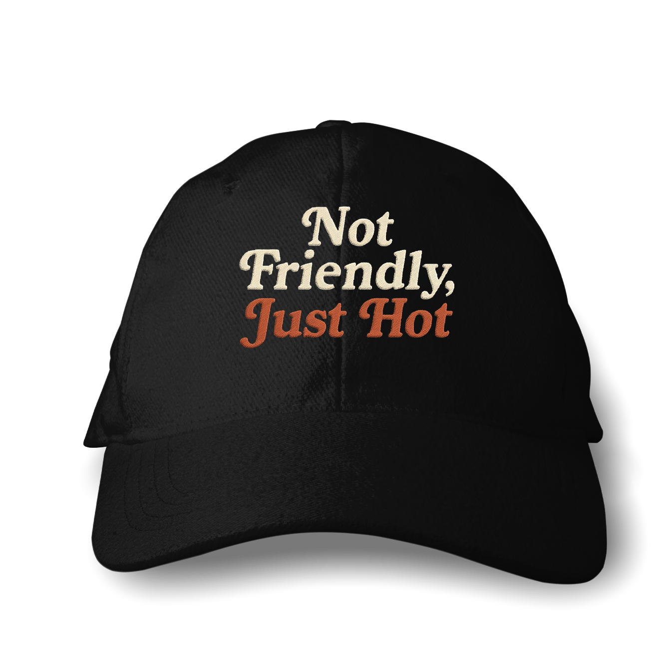 Not Friendly, Just Hot – Embroidered Hat