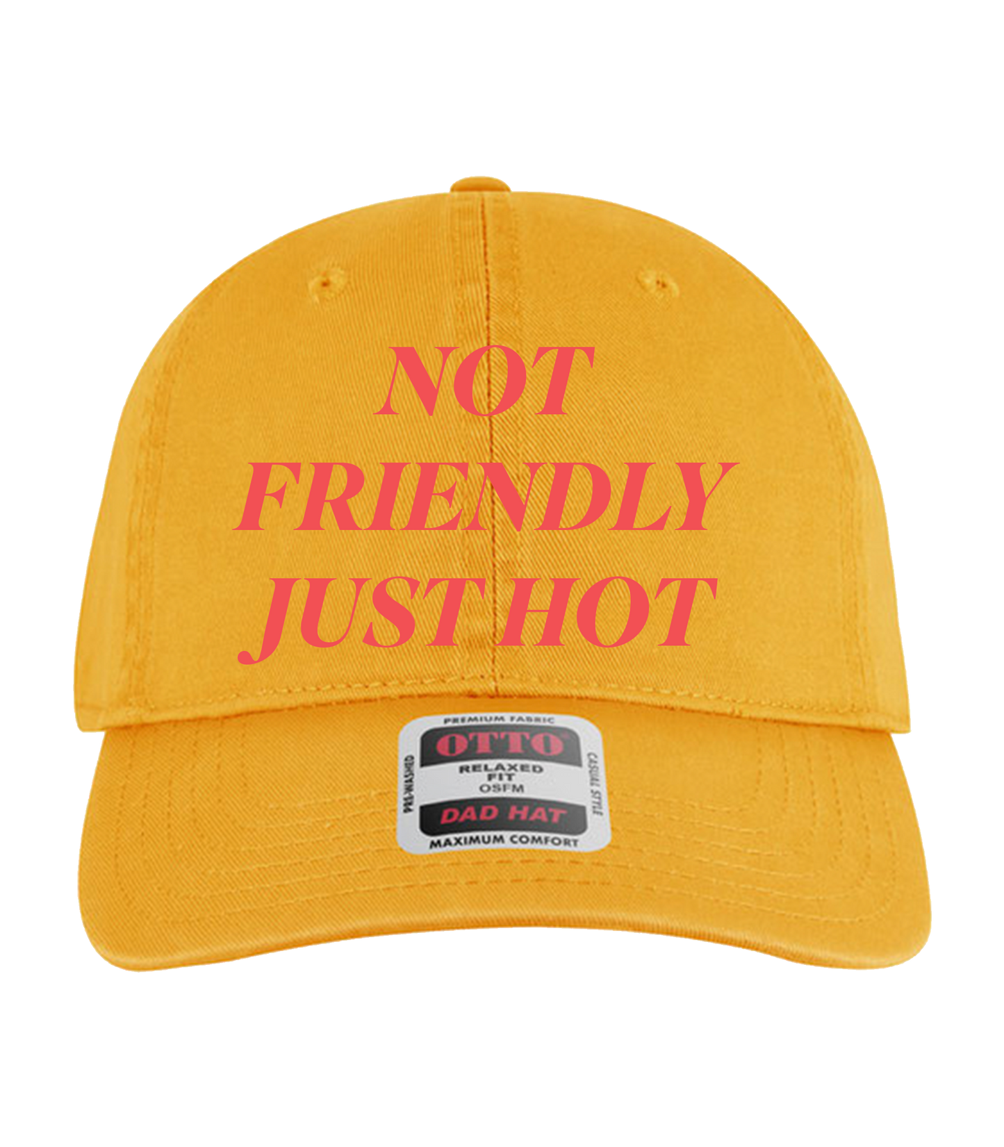 Not Friendly Just Hot Dad Hat