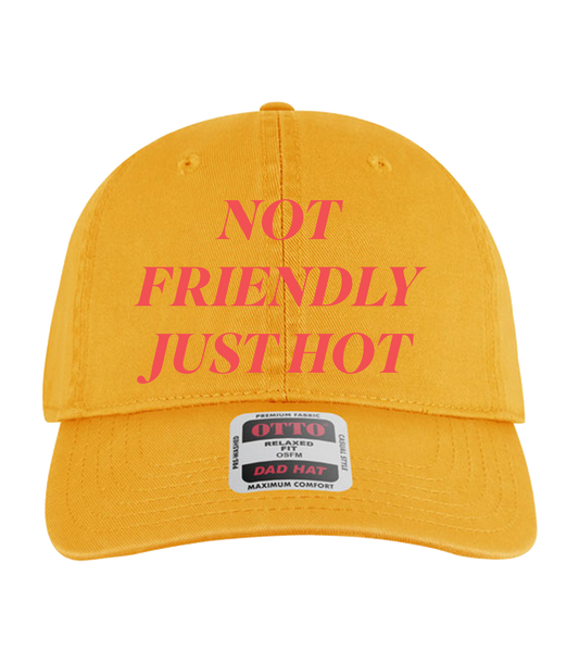 Not Friendly Just Hot Dad Hat